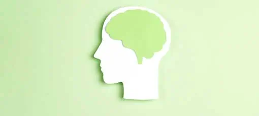 Silhouette menschlicher Kopf mit Gehirn auf grünem Hintergrund. Flaches Denken Prozesskonzept mit Kopienraum.