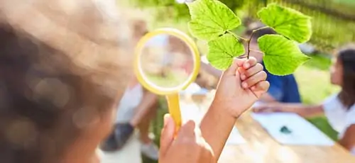 Psychologische/r Berater/in – Naturcoach - Kinder schauen mit einer Lupe ein Blatt an