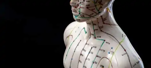 Alternative Medizin und ostasiatische Heilmethoden Konzept mit Akupunktur-Dummy-Modell mit Kopienraum. Akupunktur ist die Praxis des Einsteckens von Nadeln in das subkutane Gewebe, Haut und Muskeln