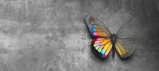 Psychologischer Berater mit Fachrichtungen - Schmetterling als Psychologisches Symbol